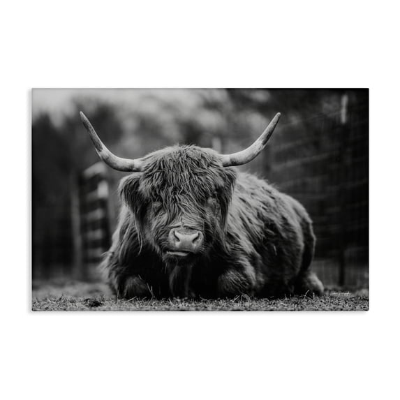 Stupell Industries Rustic Lodge Cattle Laying in Grass Canvas Art, 30 x 20, by Dakota Diener