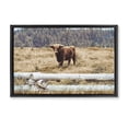 thumbnail image 1 of Stupell Industries Rustic Lodge Country Cattle with Fence Black Floating Frame Canvas Art, 25 x 17, by Gail Peck, 1 of 8