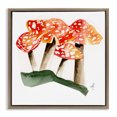 thumbnail image 1 of Stupell Industries Rustic Lodge Dotted Red Mushrooms Brown Floating Frame Canvas Art, 18 x 18, by Alexandria Gilbert Kincaid, 1 of 8