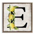 thumbnail image 1 of Stupell Industries Rustic Lodge E with Lemon Letter Brown Floating Frame Canvas Art, 25 x 25, by Creatif Belle, 1 of 8