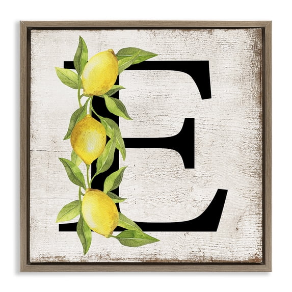 Stupell Industries Rustic Lodge E with Lemon Letter Brown Floating Frame Canvas Art, 25 x 25, by Creatif Belle