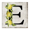 thumbnail image 1 of Stupell Industries Rustic Lodge E with Lemon Letter Canvas Art, 30 x 30, by Creatif Belle, 1 of 7