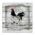 thumbnail image 1 of Stupell Industries Rustic Lodge Farm Country Rooster Rustic Pattern Book Collage Canvas Art, 17 x 17, by Carol Robinson, 1 of 7