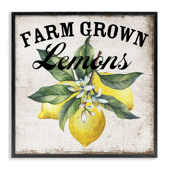 Stupell Industries Rustic Lodge Farm Grown Lemons Black Framed Giclee Art, 17 x 17, by Creatif Belle