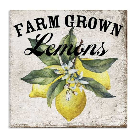 Stupell Industries Rustic Lodge Farm Grown Lemons Canvas Art, 17 x 17, by Creatif Belle