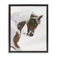 thumbnail image 1 of Stupell Industries Rustic Lodge Galloping Horse with Halter Black Floating Frame Canvas Art, 25 x 31, by Kari Brooks, 1 of 8
