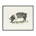 thumbnail image 1 of Stupell Industries Rustic Lodge Grazing Farm Animal Hog Black Framed Giclee Art, 30 x 24, by Ethan Harper, 1 of 7