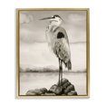 thumbnail image 1 of Stupell Industries Rustic Lodge Grey Heron Perched Gold Floating Frame Canvas Art, 25 x 31, by Grace Popp, 1 of 7