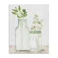 thumbnail image 1 of Stupell Industries Rustic Lodge Herbal Plant Sprigs Country Glass Jars Rustic Canvas Art, 16 x 20, by Kim Allen, 1 of 6
