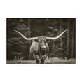 thumbnail image 1 of Stupell Industries Rustic Lodge Longhorn Among Flowers Canvas Art, 30 x 20, by Nathan Larson, 1 of 8