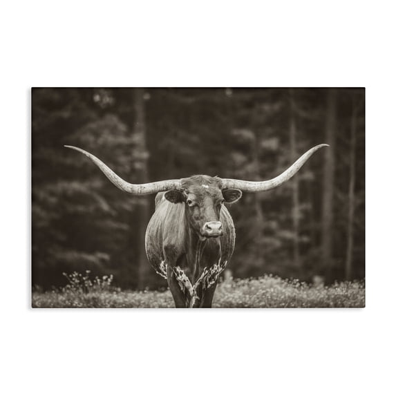Stupell Industries Rustic Lodge Longhorn Among Flowers Canvas Art, 30 x 20, by Nathan Larson