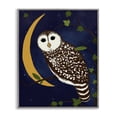 thumbnail image 1 of Stupell Industries Rustic Lodge Owl & Moon Forest Gray Framed Giclee Art, 24 x 30, by Michelle Ingari Designs, 1 of 8