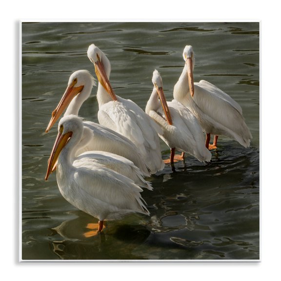Stupell Industries Rustic Lodge Pelican Birds Standing Shallow Water Wall Plaque Art, 12 x 12, by David Lorenz