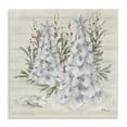 thumbnail image 1 of Stupell Industries Rustic Lodge Seashells & Holly Trees Canvas Art, 24 x 24, by Paul Brent, 1 of 8