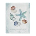 thumbnail image 1 of Stupell Industries Rustic Lodge Seashells and Sunshine Saying Canvas Art, 36 x 48, by Janet Tava, 1 of 7