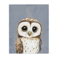 thumbnail image 1 of Stupell Industries Rustic Lodge Sweet Woodland Owl Canvas Art, 36 x 48, by Christine Simpson Art, 1 of 7
