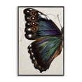 thumbnail image 1 of Stupell Industries Rustic Lodge Traditional Butterfly Wing Black Framed Giclee Art, 12 x 18, by Melissa Wang, 1 of 8