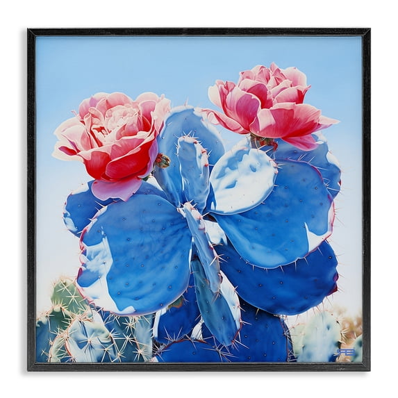 Stupell Industries Rustic Lodge Twin Cactus Blossoms Black Framed Giclee Art, 12 x 12, by RB