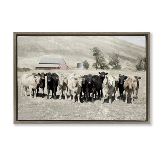Stupell Industries Rustic Lodge Varied Cattle on Farm Brown Floating Frame Canvas Art, 25 x 17, by Rhonda Addison