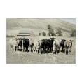 thumbnail image 1 of Stupell Industries Rustic Lodge Varied Cattle on Farm Canvas Art, 24 x 16, by Rhonda Addison, 1 of 8