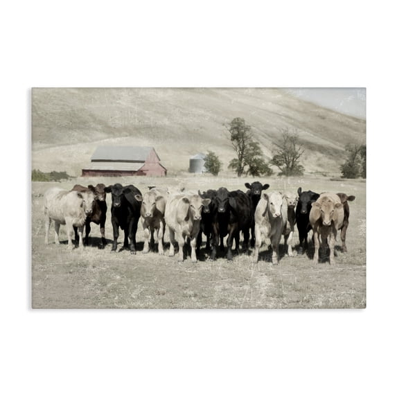 Stupell Industries Rustic Lodge Varied Cattle on Farm Canvas Art, 24 x 16, by Rhonda Addison