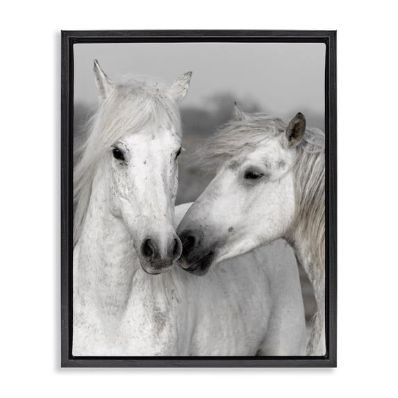 Stupell Industries Rustic Lodge White Horse Kiss Wildlife Black Floating Frame Canvas Art, 17 x 21, by Danita Delimont