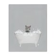 thumbnail image 1 of Stupell Industries Rustic Lodge Wolf Blue Bath Cute Canvas Art, 16 x 20, by Leah Straatsma, 1 of 7