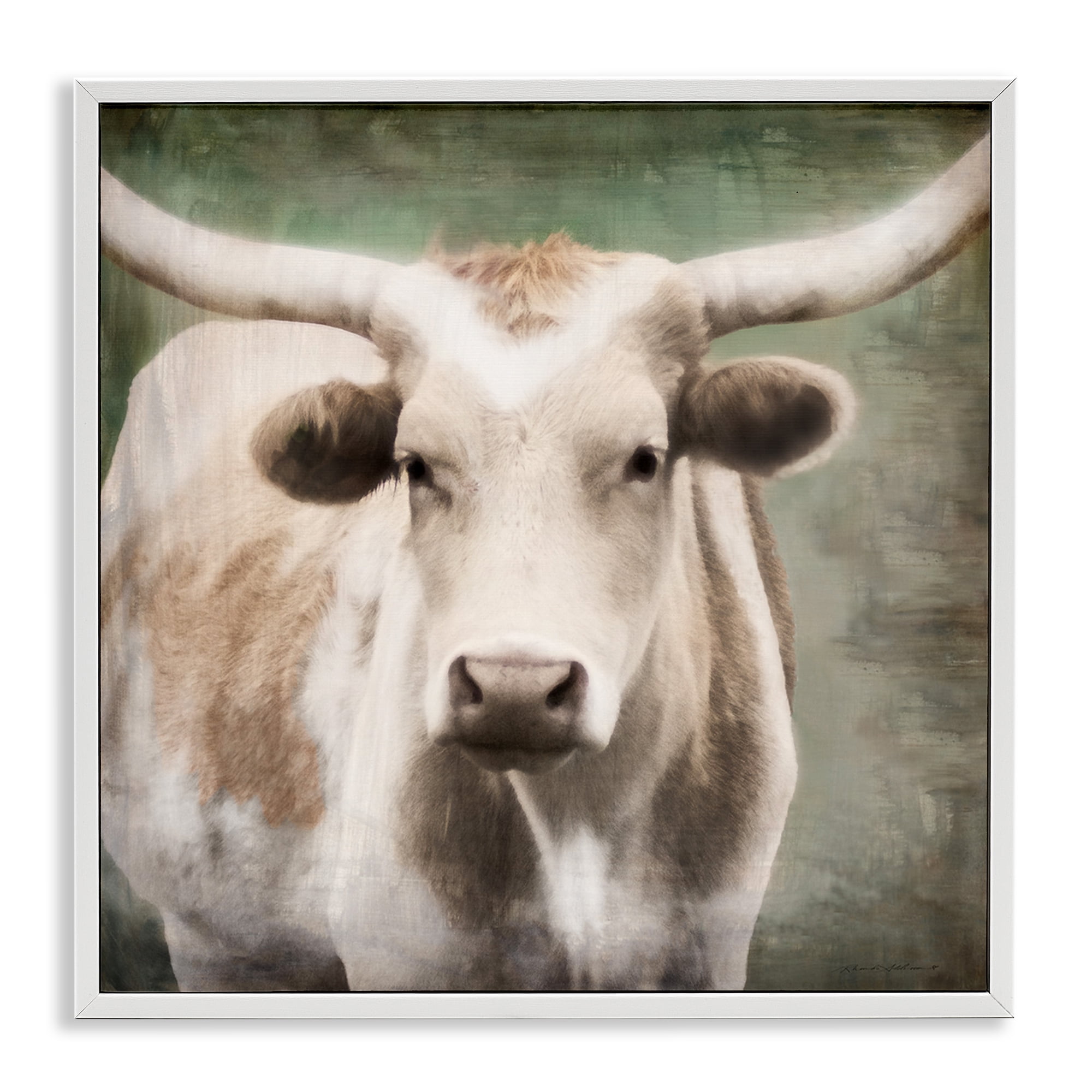 White Framed Rustic Longhorn Cattle Giclee Art Print, 12 x 12