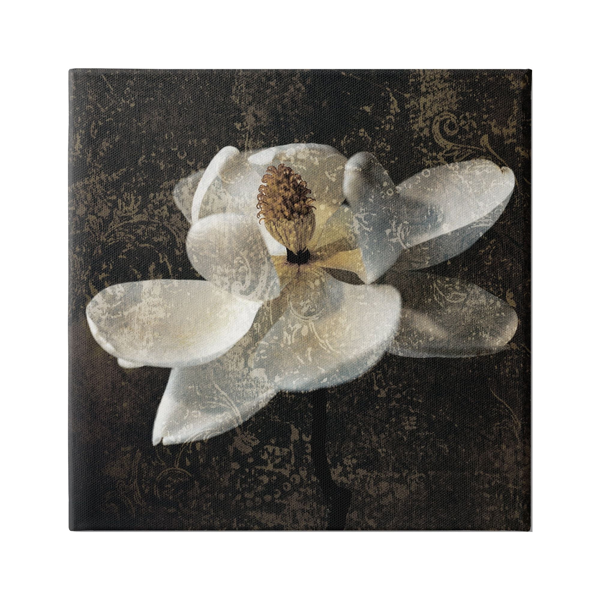 Stupell Industries Rustic Magnolia Flower Botanical & Floral Painting Gallery Wrapped Canvas Art Print Wall Art, 24 x 24