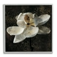 thumbnail image 1 of Stupell Industries Rustic Magnolia Flower Botanical & Floral Painting Gray Framed Art Print Wall Art, 24 x 24, 1 of 9