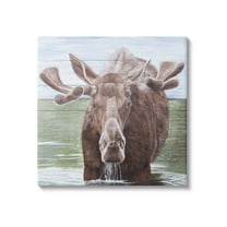 Stupell Industries Rustic Moose in Lake Animals & Insects Painting Gallery Wrapped Canvas Art Print Wall Art, 17 x 17