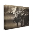 thumbnail image 1 of Stupell Industries Rustic Moose in Shadows Deep Forest Portrait Animals & Insects Drawing Gallery Wrapped Canvas Print Wall Art, 24 x 30, 1 of 6