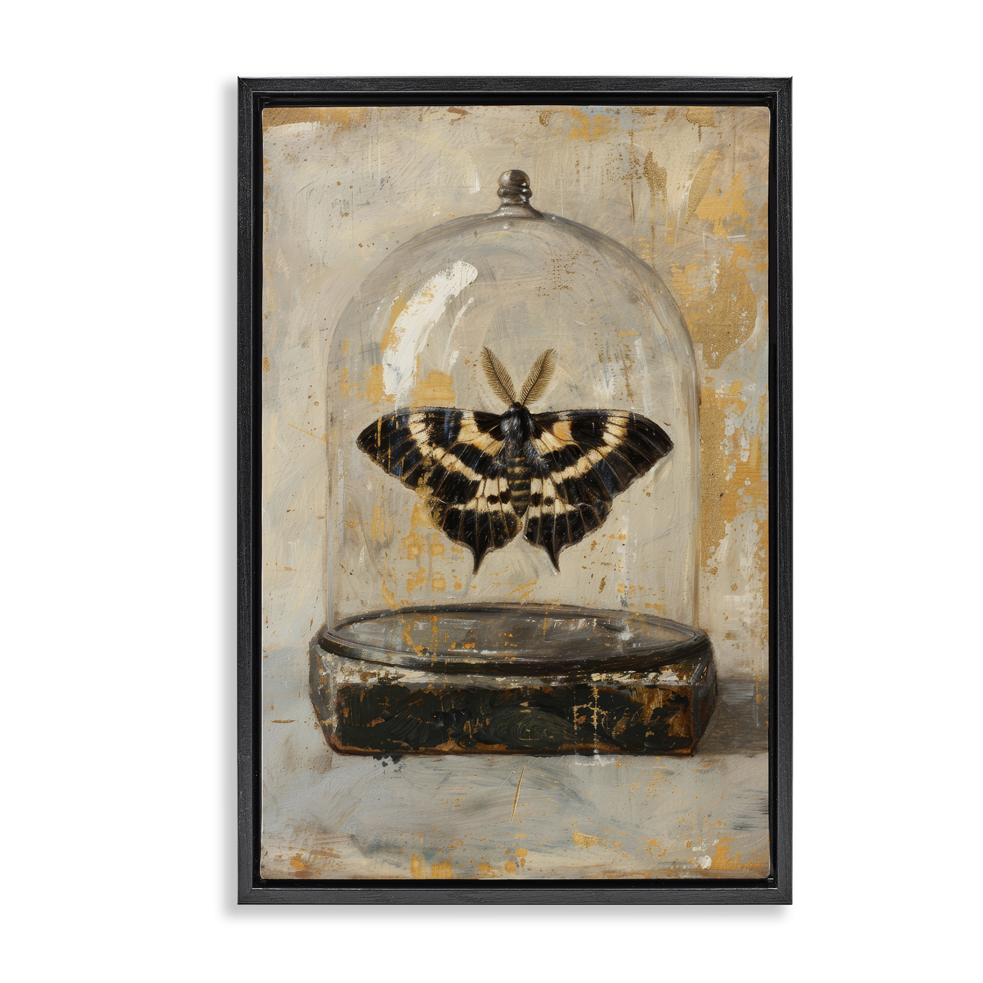 Stupell Industries Rustic Moth in Glass Animals Painting Black Floater Framed Canvas Art Print Wall Art, 21 x 31