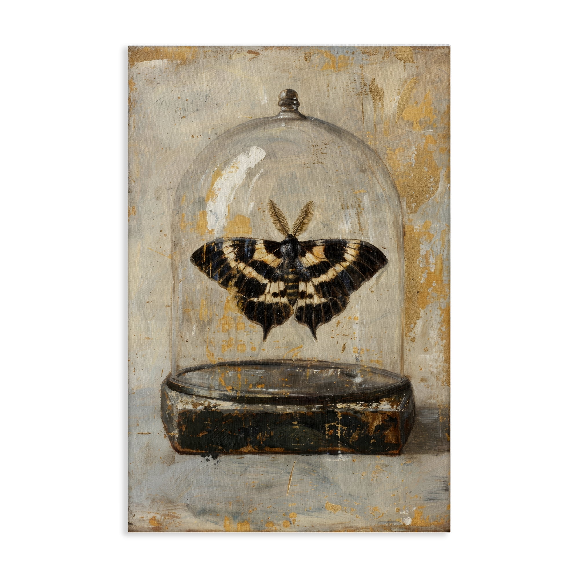 Stupell Industries Rustic Moth in Glass Animals Painting Wrapped Canvas Art Print Wall Art, 20 x 30