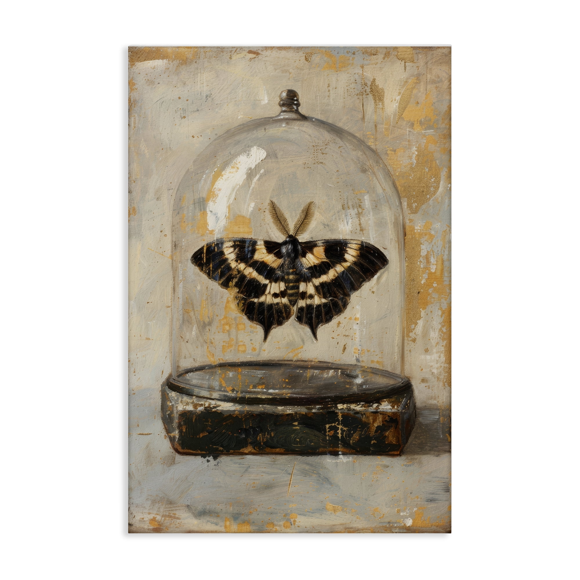 Stupell Industries Rustic Moth in Glass Animals Painting Wrapped Canvas Art Print Wall Art, 30 x 45