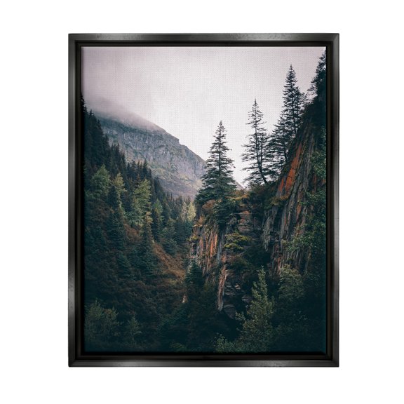 Stupell Industries Rustic Mountain Landscape Landscape Photography Black Floater Framed Canvas Art Print Wall Art, 17 x 21