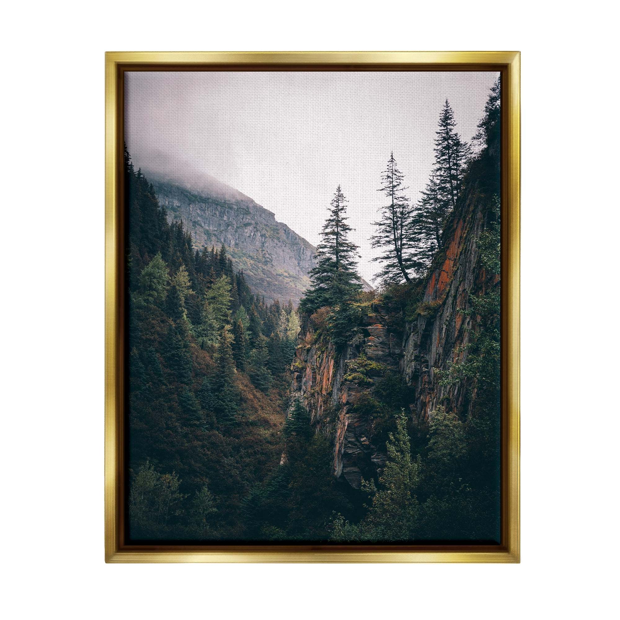Stupell Industries Rustic Mountain Landscape Landscape Photography Gold Floater Framed Canvas Art Print Wall Art, 25 x 31