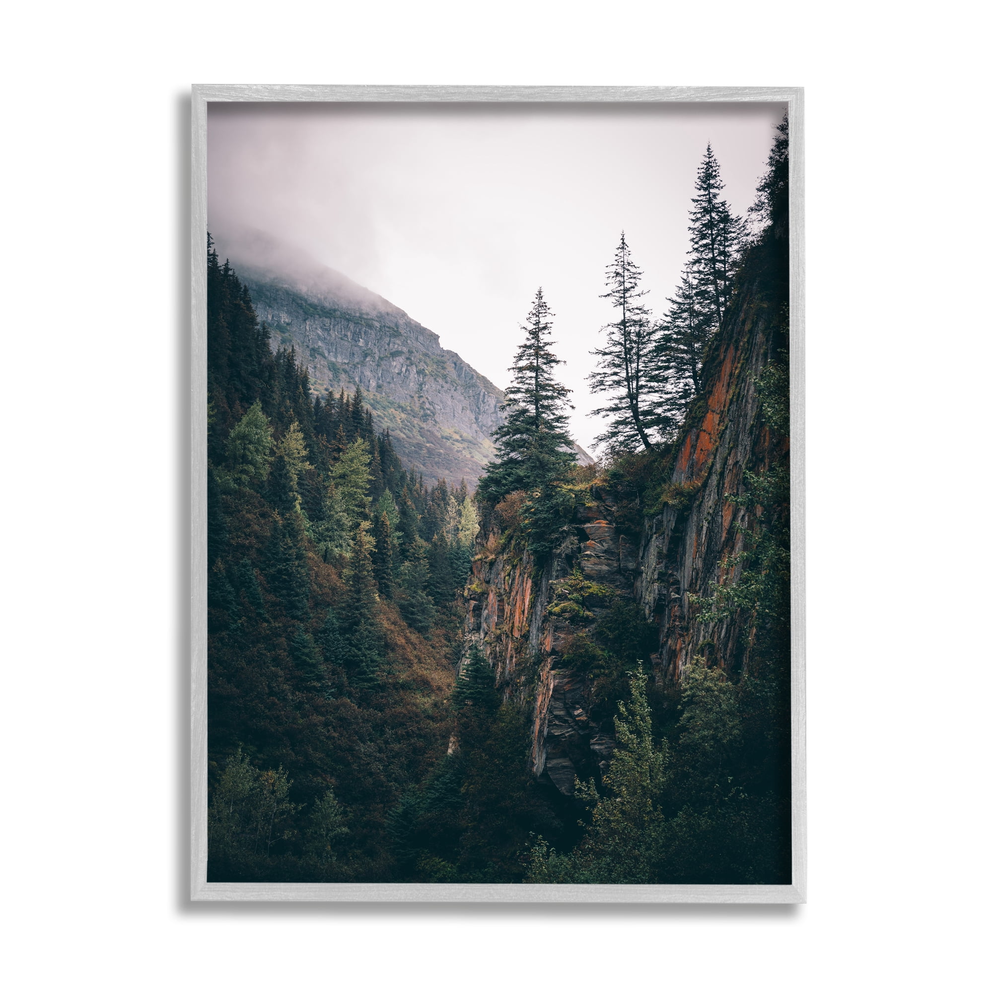 Stupell Industries Rustic Mountain Landscape Landscape Photography Gray Framed Art Print Wall Art, 16 x 20