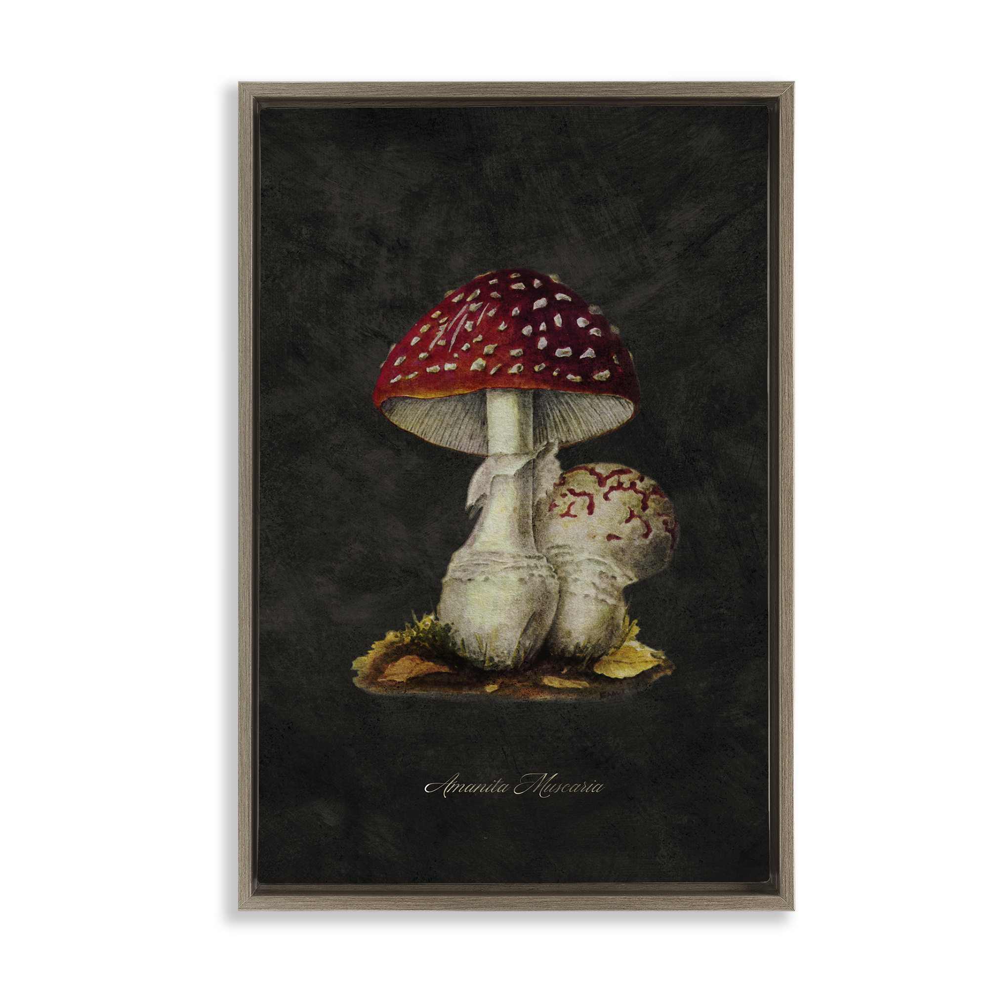Stupell Industries Rustic Mushroom Pair Plants & Flowers Painting Brown Floater Framed Canvas Art Print Wall Art, 17 x 25