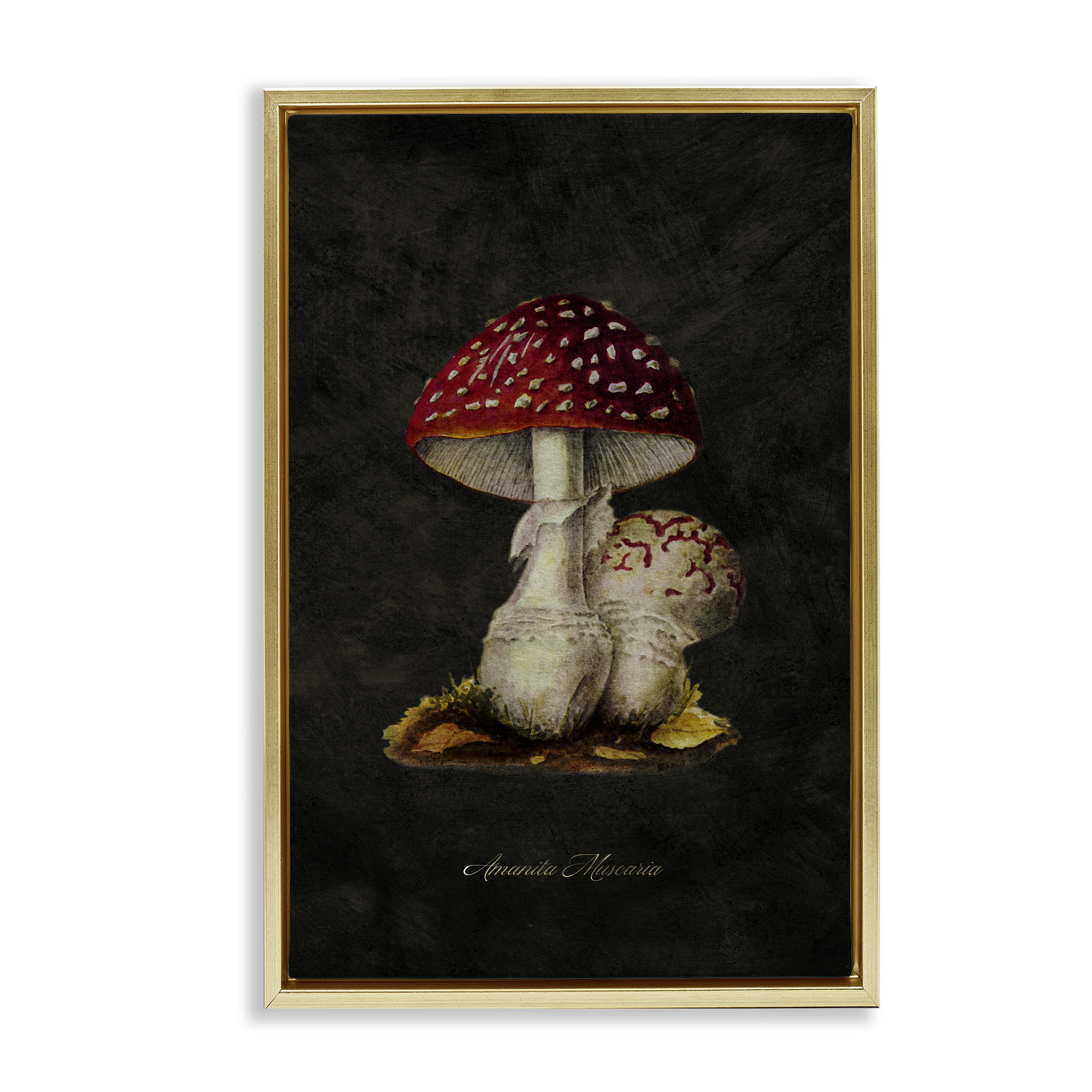 Stupell Industries Rustic Mushroom Pair Plants & Flowers Painting Gold Floater Framed Canvas Art Print Wall Art, 17 x 25