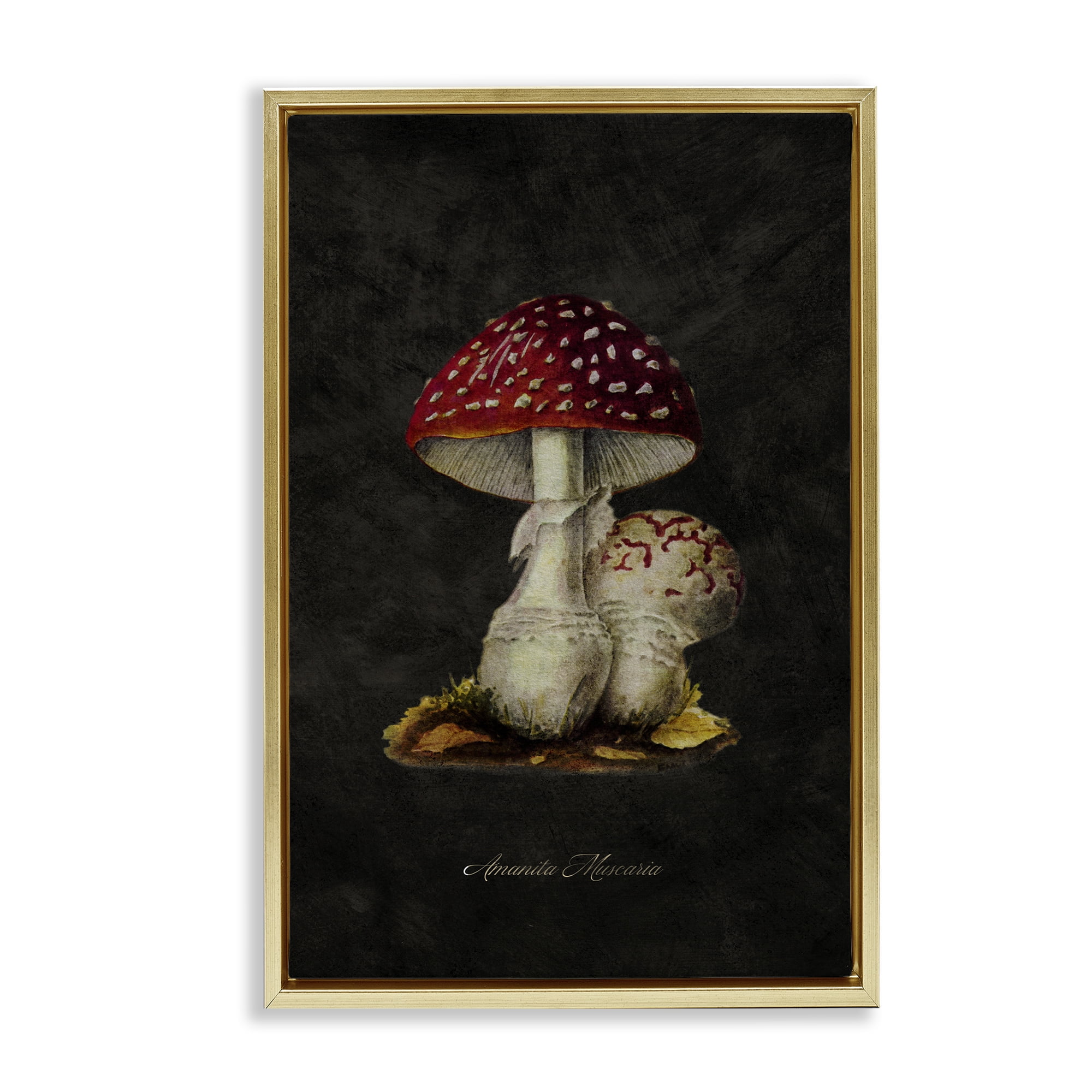 Stupell Industries Rustic Mushroom Pair Plants & Flowers Painting Gold Floater Framed Canvas Art Print Wall Art, 21 x 31