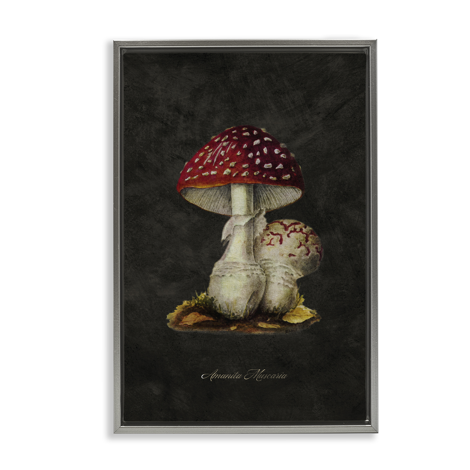 Stupell Industries Rustic Mushroom Pair Plants & Flowers Painting Gray Floater Framed Canvas Art Print Wall Art, 17 x 25