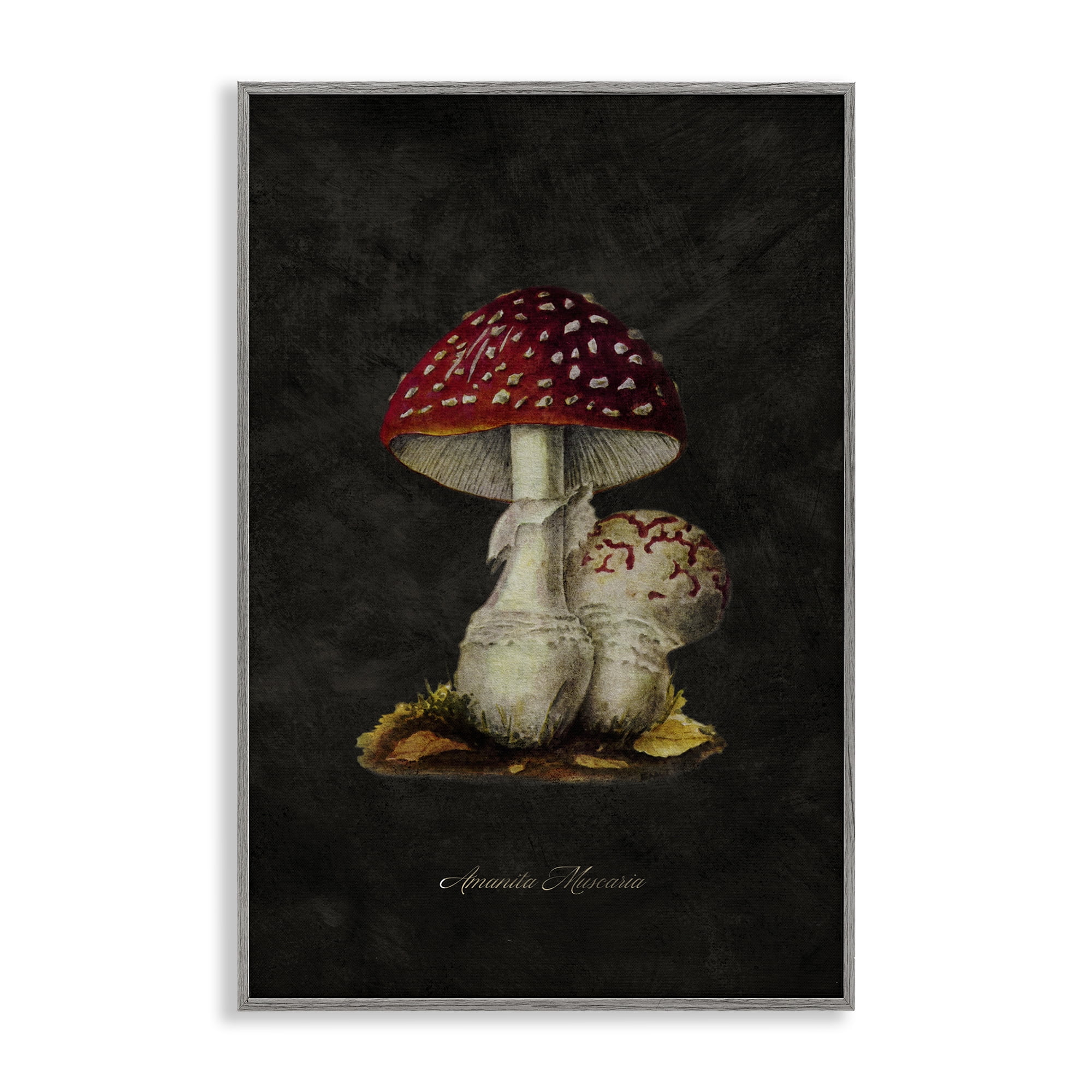 Stupell Industries Rustic Mushroom Pair Plants & Flowers Painting Gray Framed Art Print Wall Art, 16 x 24
