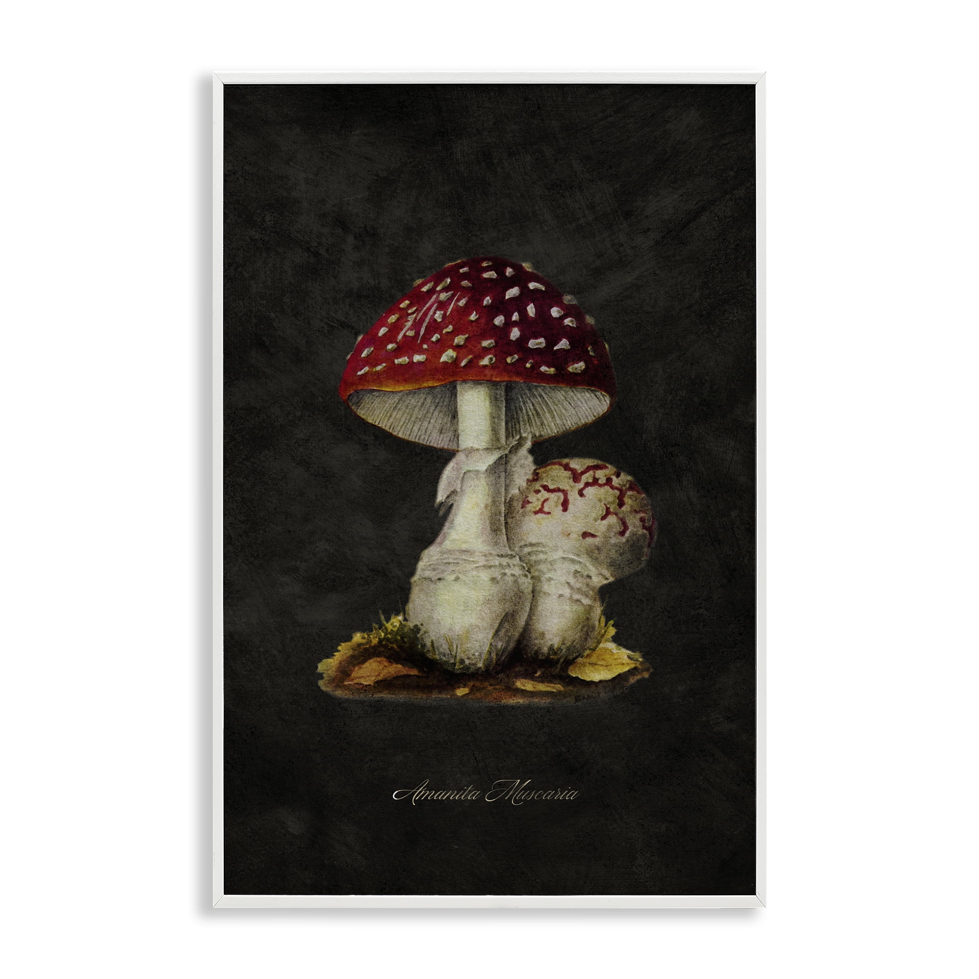 Stupell Industries Rustic Mushroom Pair Plants & Flowers Painting White Framed Art Print Wall Art, 16 x 24