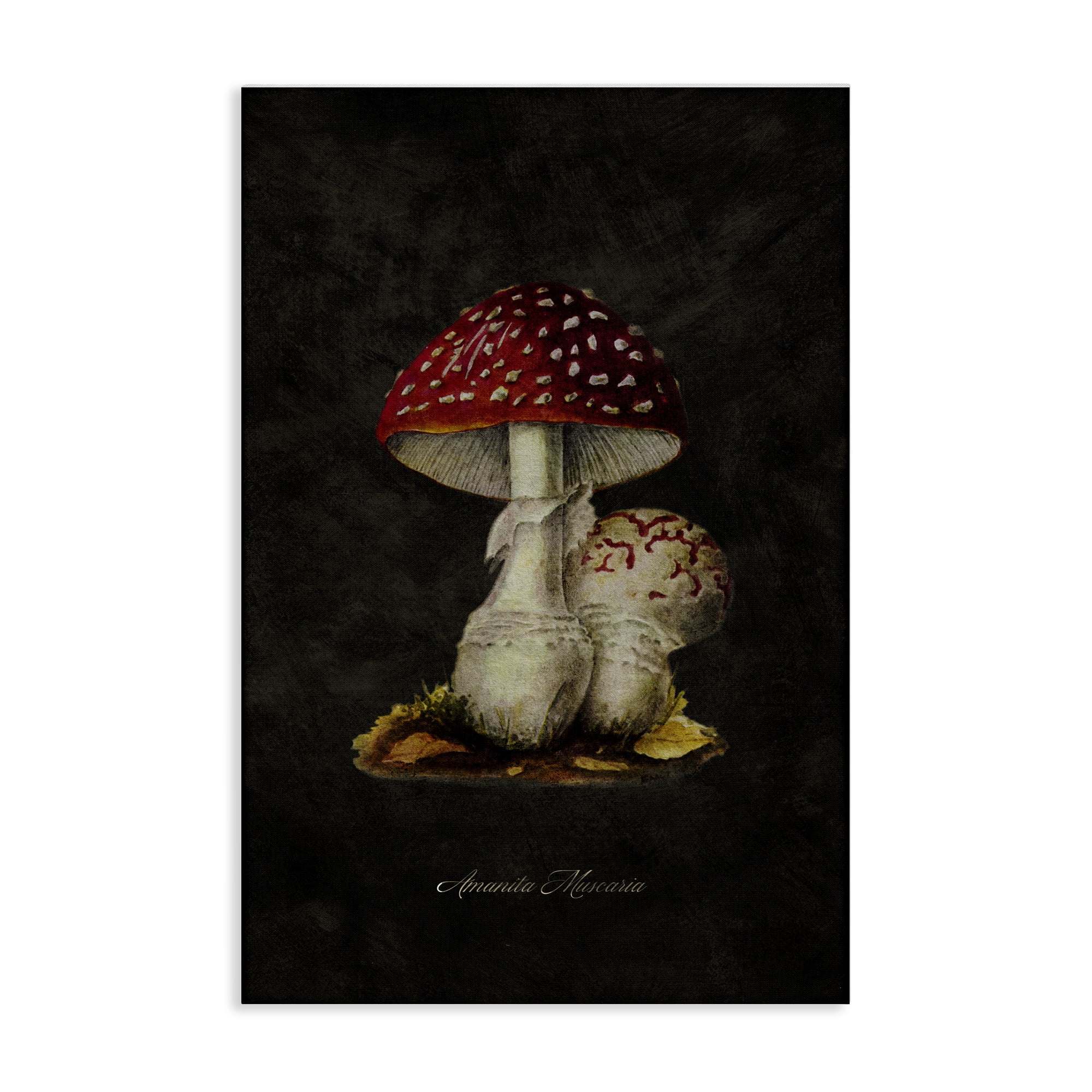 Stupell Industries Rustic Mushroom Pair Plants & Flowers Painting Wrapped Canvas Art Print Wall Art, 20 x 30