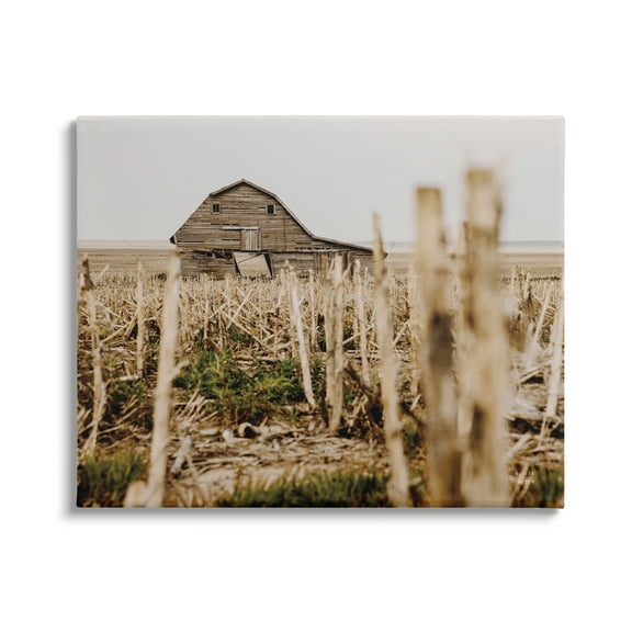 Stupell Industries Rustic Old Barn Landscape Photography Gallery Wrapped Canvas Art Print Wall Art, 20 x 16