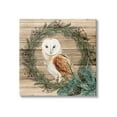 thumbnail image 1 of Stupell Industries Rustic Owl on Pine Wreath Botanical & Floral Painting Gallery Wrapped Canvas Print Wall Art, 36 x 36, 1 of 7