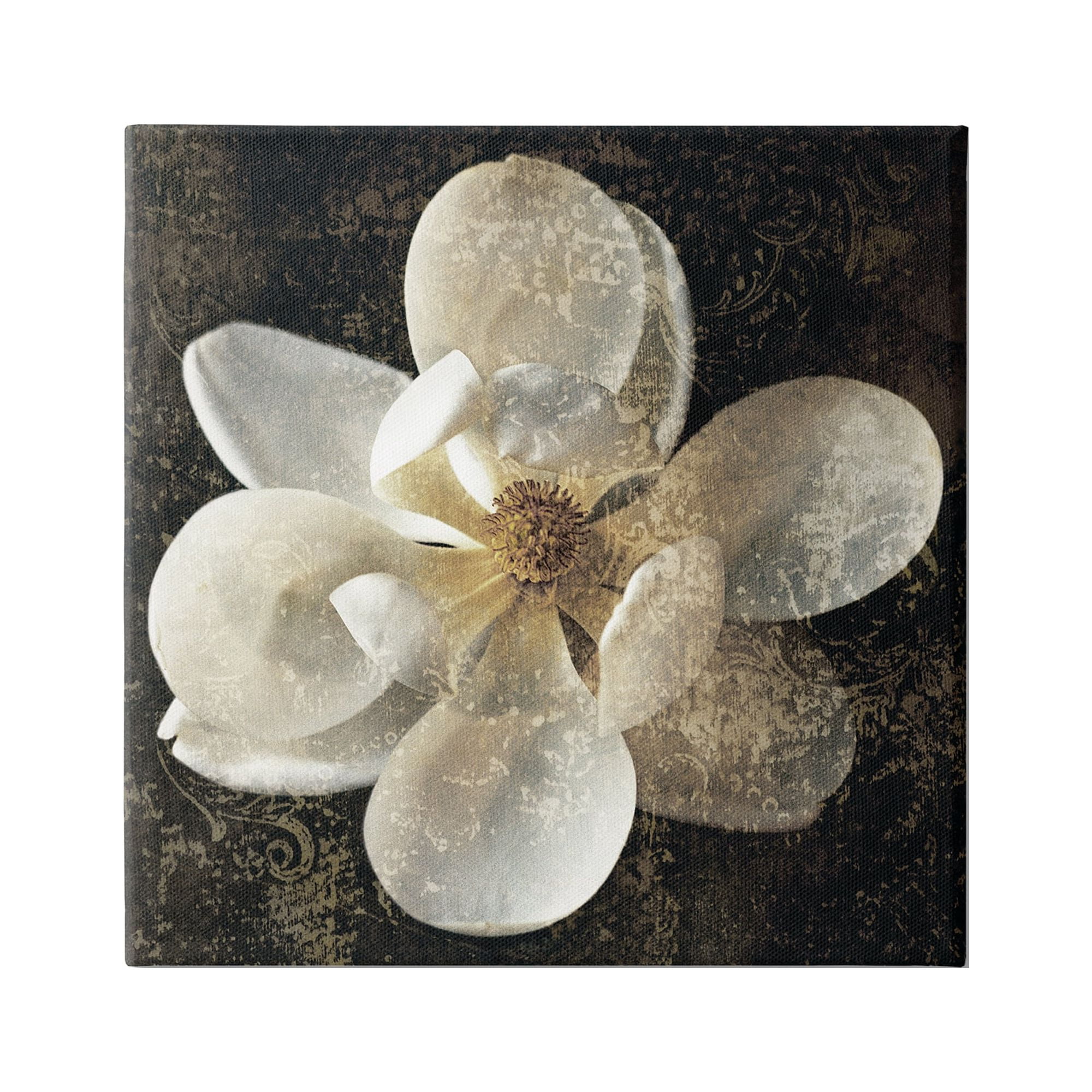 Stupell Industries Rustic Patterned Magnolia Botanical & Floral Painting Gallery Wrapped Canvas Art Print Wall Art, 24 x 24
