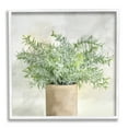 thumbnail image 1 of Stupell Industries Rustic Potted Herb Plant Overflowing Leaves Design Painting White Framed Art Print Wall Art, Design by Kim Allen, 1 of 8