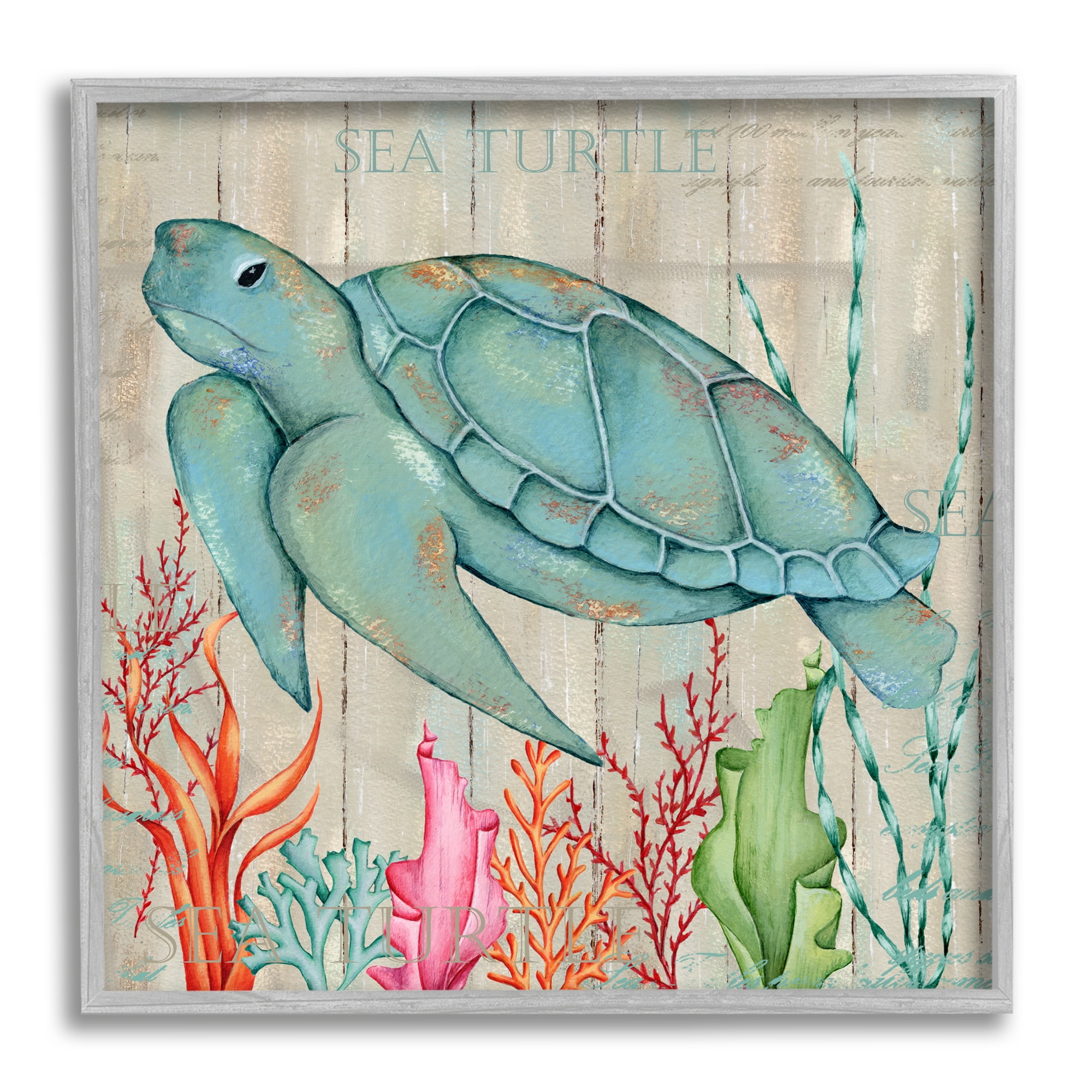 Gray Framed Coastal Sea Turtle Print with Colorful Coral